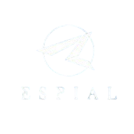 ESPIAL INFOTECH